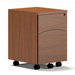 Brighton Mobile 2-Drawer Pedestal File