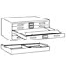 C-Files: Five Drawer Flat File (Museum Quality)