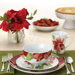 Signature Amaryllis 16 Piece Dinnerware Set