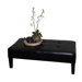 Upholstered Coffee Table