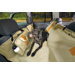 Wander Hammock in Khaki