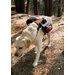 Wander Pack Dog Backpack