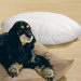 Oval Pet Bed
