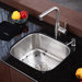 Stainless Steel Undermount 20" Single Bowl Kitchen Sink with 13.25" Kitchen Faucet and Soap Dispenser