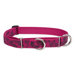 Plum Blossom 1" Adjustable Large Dog Combo Collar