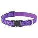 Jelly Roll 3/4" Adjustable Medium Dog Collar