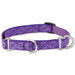 Jelly Roll 3/4" Adjustable Medium Dog Combo Collar