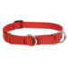 Solid Color 3/4" Adjustable Medium Dog Combo Collar