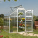Nature Twin Wall Polycarbonate Greenhouse