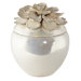 PCL Dahlia Luxe Jar