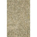 Art Rug