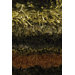 Delight Rug