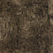 Vani Solid Rug