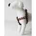 Lola Dog Harness