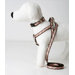 Varsity Stripe Dog Lead