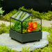 Gothic Style Square Terrarium