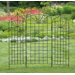 Ogee Trellis