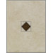 Villa Pescara 10" Deco Accent Tile in Beige