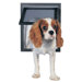 Pet Screen Door