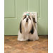 Plastic Pet Door