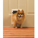 Freedom Aluminum Pet Door