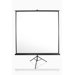 Portable Tripod Manual Pull Up Projection Screen