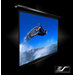 Ceiling/Wall Mount Electric Projection Screen