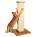 Ultimate Sisal Cat Scratching Post