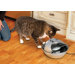 Stainless Steel Drinking Fountain