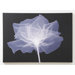 X-Ray Flower Printed Canvas Art