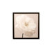 White Rose Framed Printed Canvas Art - 20" X 20"