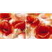 Poppies Canvas (set of 2)