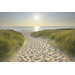 Beach Walk Canvas (set of 3)