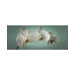 Teal Orchid Canvas