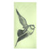 Dove Cotton Voile Scarf in Lettuce