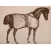 Thoroughbred Placemat