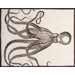Octopus Tea Towel