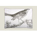 Ornithology Sham Set