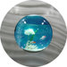 Small Round Aquarium