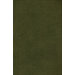 Premiere Jasmine Terrapin Rug