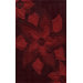 Delhi Red Rug