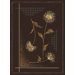 Manhattan Windsong Brown Rug