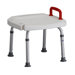 Bath Bench without Back