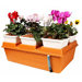 Emily S Garden System