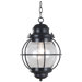 Hatteras   Hanging Lantern In Black
