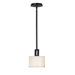 Endicott 1 Light Mini Pendant