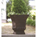 Square Urn Planter