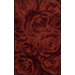 Moda Crimson Rug