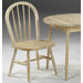 Windsor Juvenile Adirondack Chair