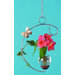 Hanging C Plant Rooter
